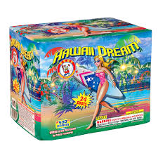 WINDA HAWAII DREAM - CASE 4/1